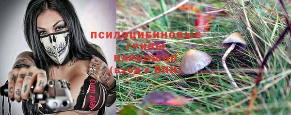 трава Надым