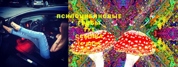 трава Надым