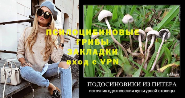 трава Надым