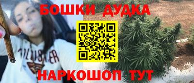 стаф Абакан