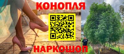 стаф Абакан