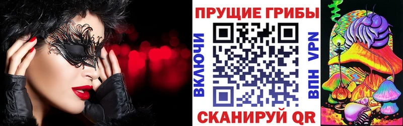 kraken   закладки  Абинск  Псилоцибиновые грибы Psilocybine cubensis 