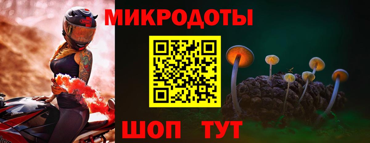 Бошки Шишки Абинск