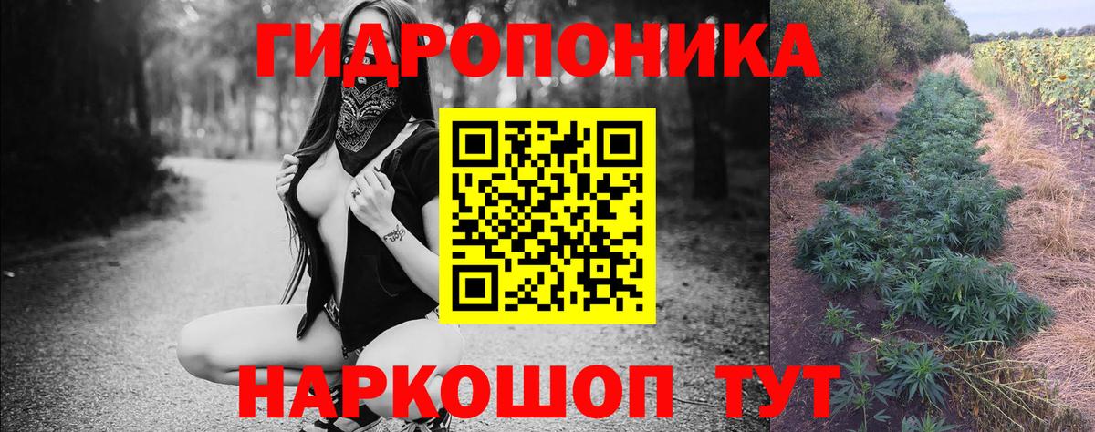 Бошки Шишки Amnesia Абинск