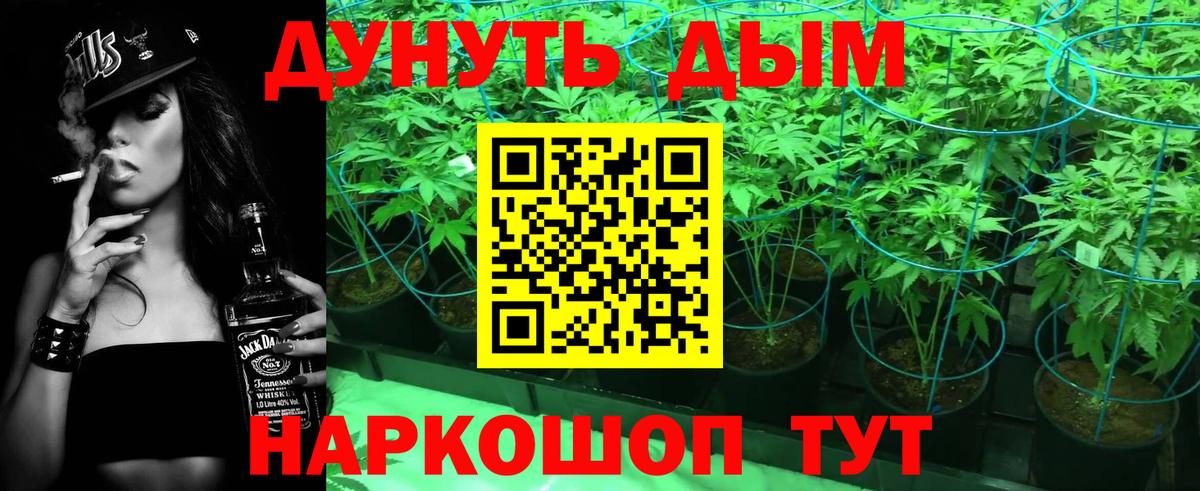 Бошки Шишки тримм  Каннабис Bruce Banner  Каннабис Amnesia  Вход с VPN  Абинск 